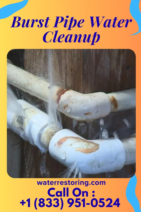 Burst Pipe Water Cleanup in Denver, IA