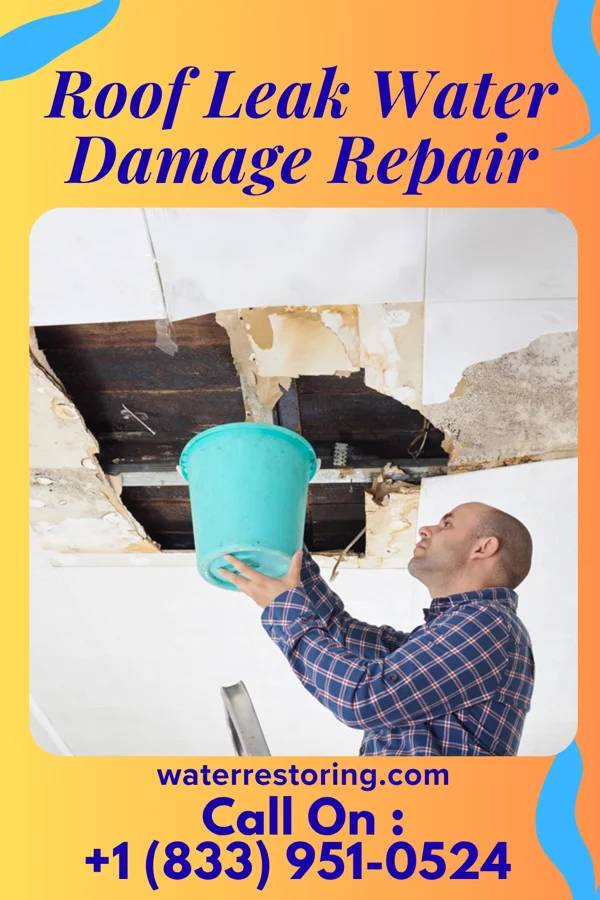 Roof Leak Water Damage Repair in Denver, IA